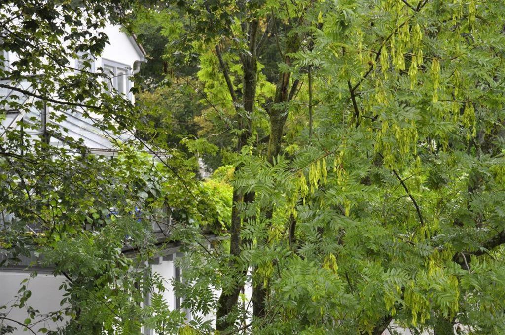 Zum Fischerhaus Konstancja Zewnętrze zdjęcie